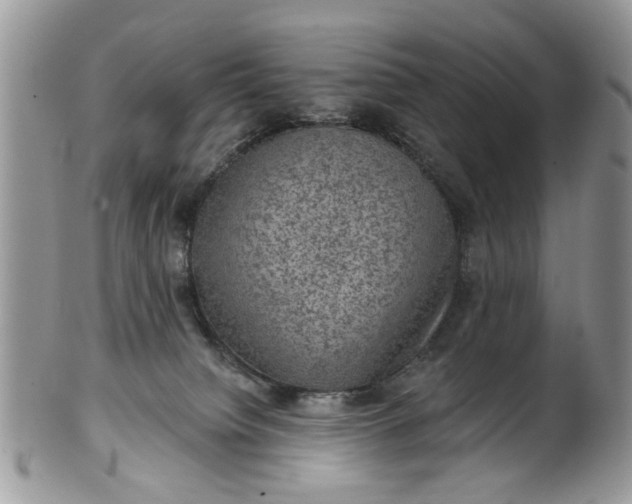 X0000101970084200808011140