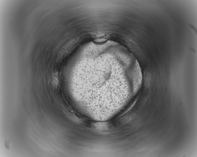 X0000101970085200808011140