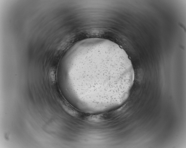 X0000101970086200808011140