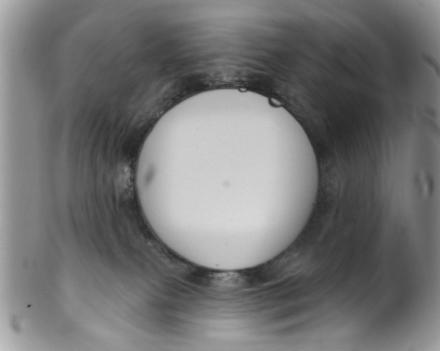 X0000101970087200808011140
