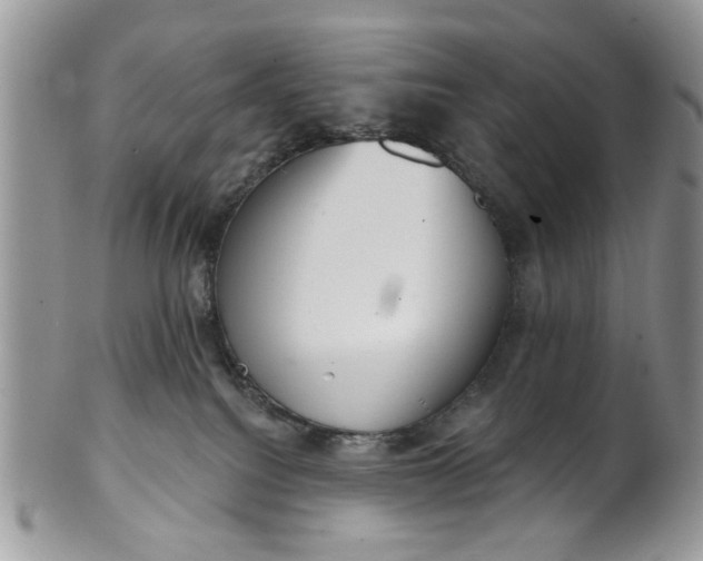 X0000101970088200808011140