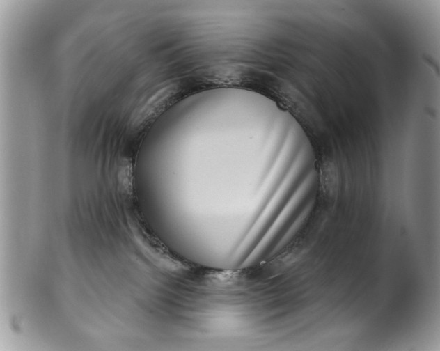 X0000101970092200808011140