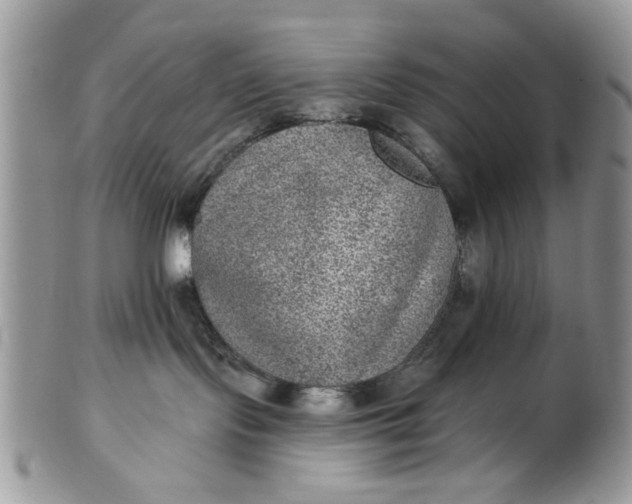 X0000101970095200808011140