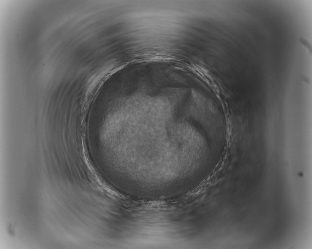 X0000101970097200808011140