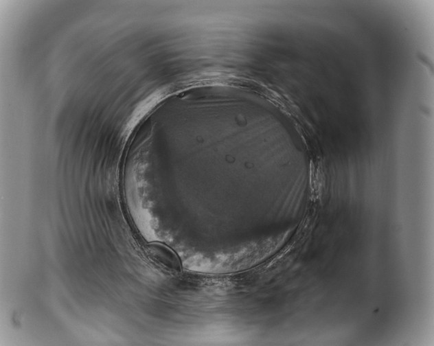 X0000101970099200808011140