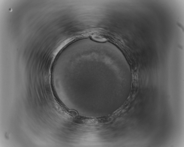 X0000101970100200808011140