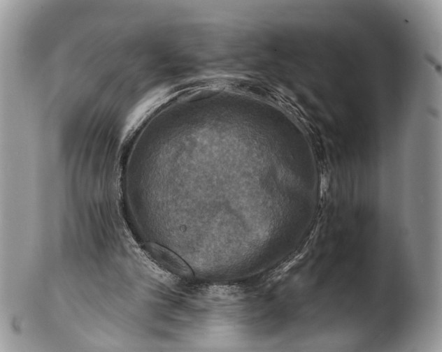 X0000101970101200808011140