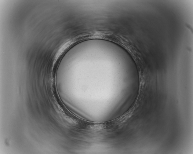 X0000101970102200808011140