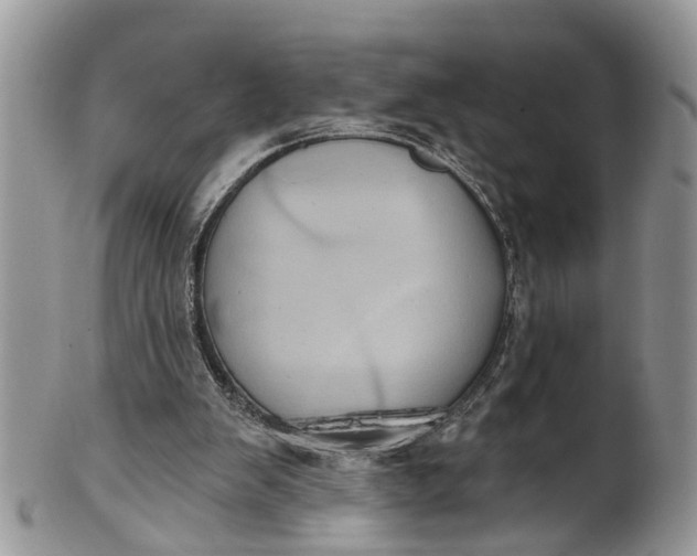 X0000101970103200808011140