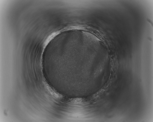X0000101970104200808011140