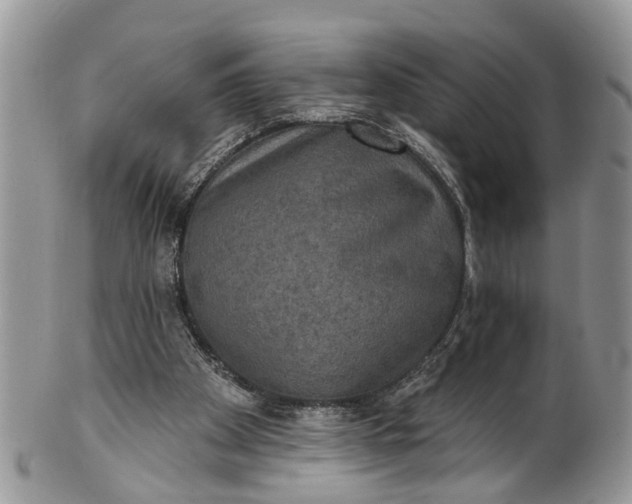 X0000101970105200808011140