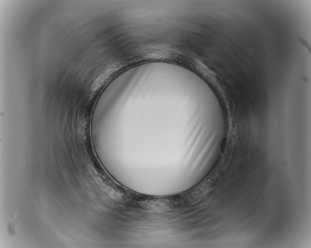 X0000101970106200808011140