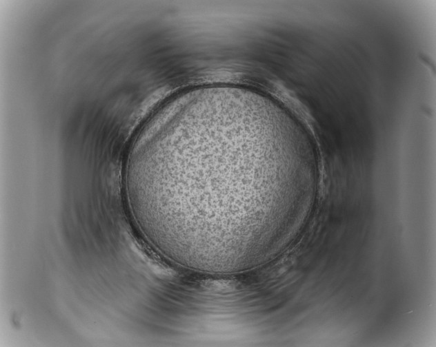 X0000101970107200808011140
