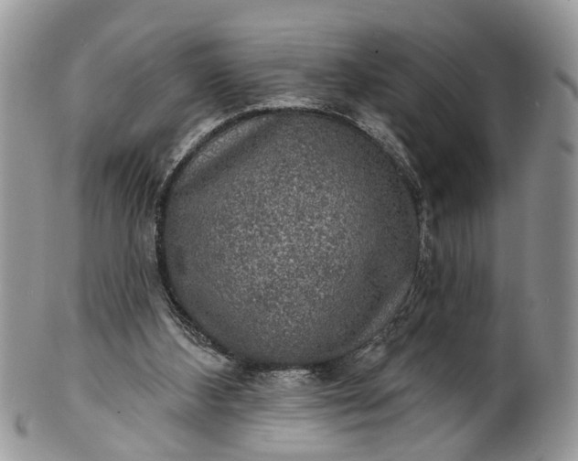 X0000101970108200808011140