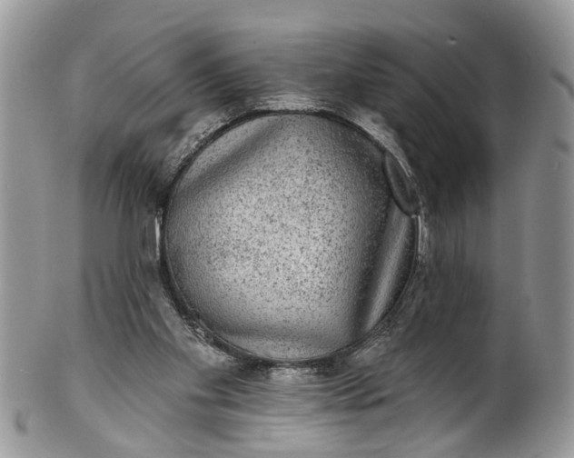 X0000101970109200808011140