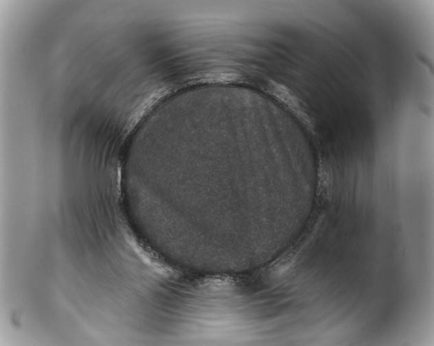 X0000101970110200808011140