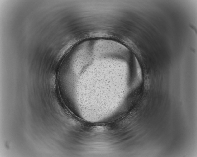 X0000101970111200808011140
