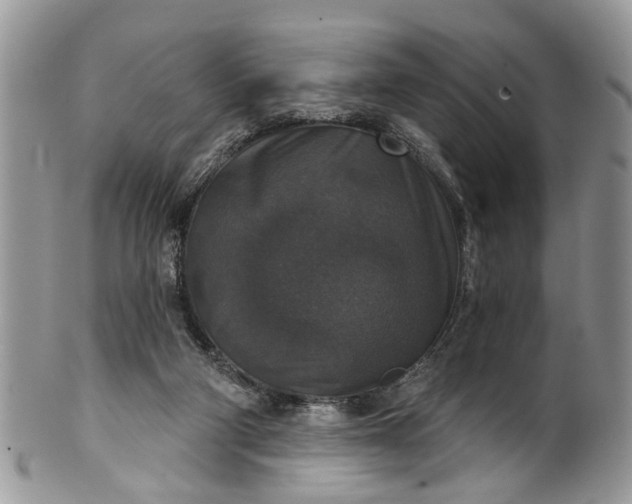 X0000101970114200808011140