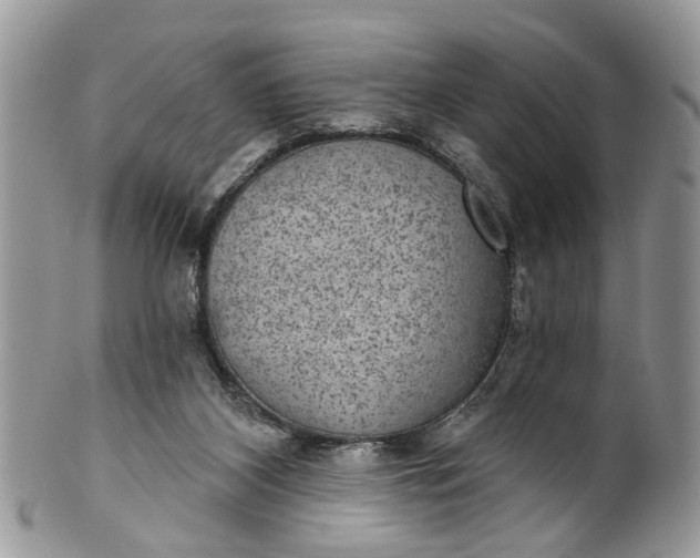 X0000101970116200808011139