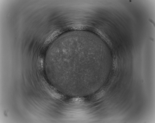 X0000101970117200808011139