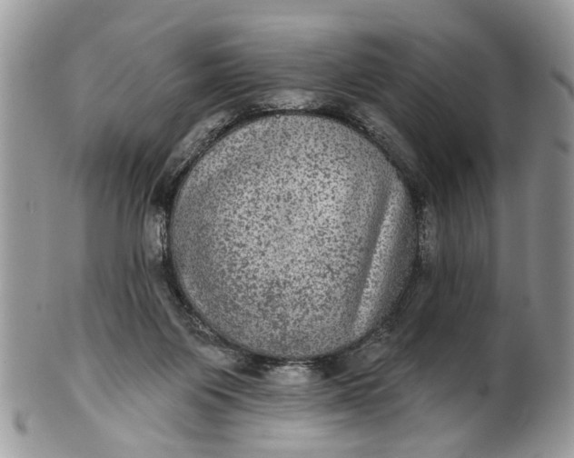 X0000101970119200808011139