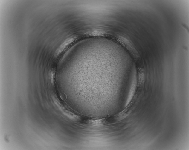 X0000101970120200808011139