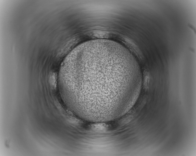 X0000101970121200808011139