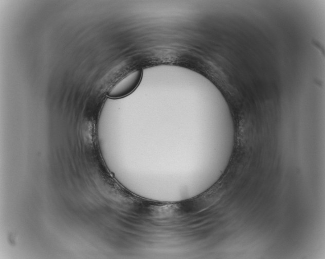 X0000101970122200808011139