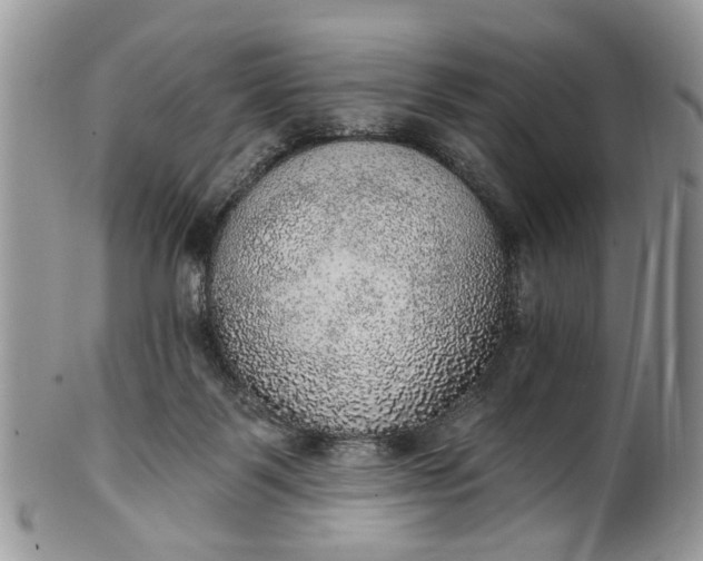 X0000101970123200808011139