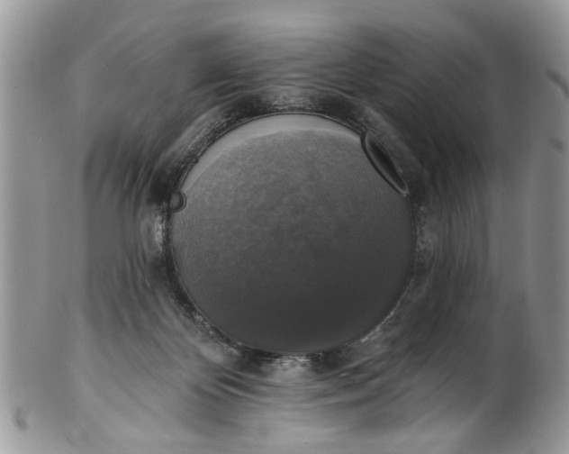 X0000101970124200808011139