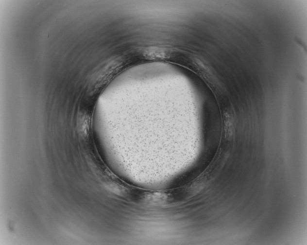 X0000101970125200808011139