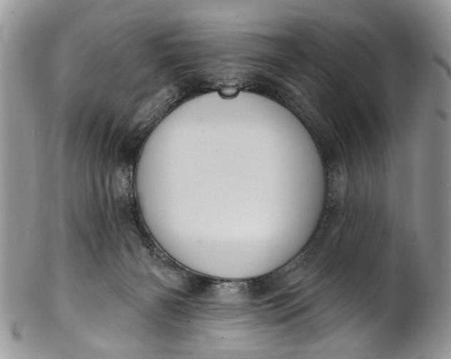 X0000101970126200808011139