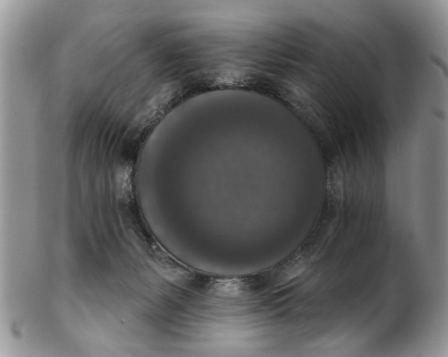 X0000101970127200808011139