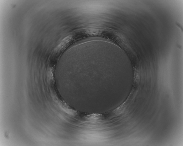 X0000101970128200808011139