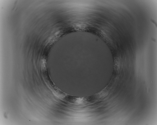 X0000101970130200808011139