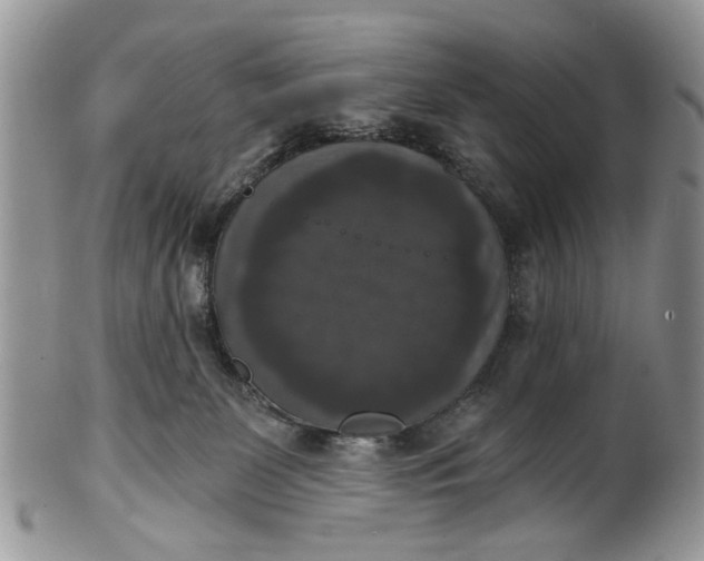 X0000101970131200808011139