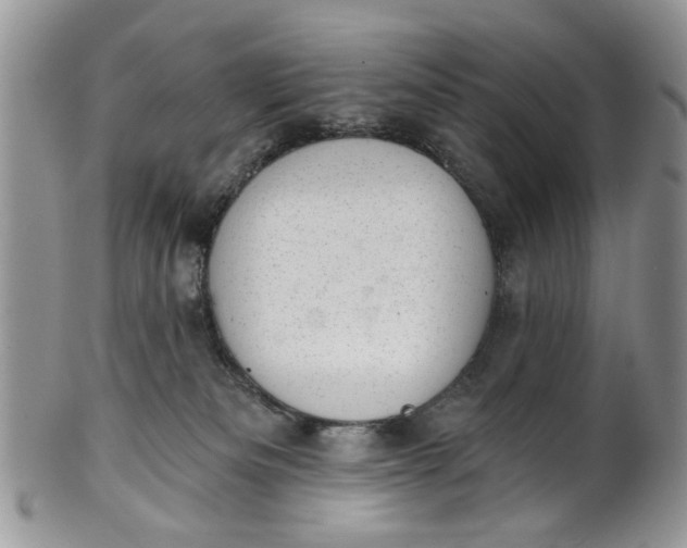 X0000101970133200808011139