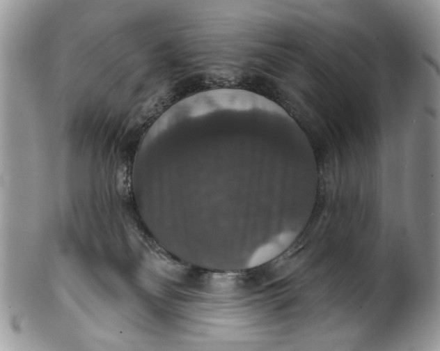 X0000101970134200808011139