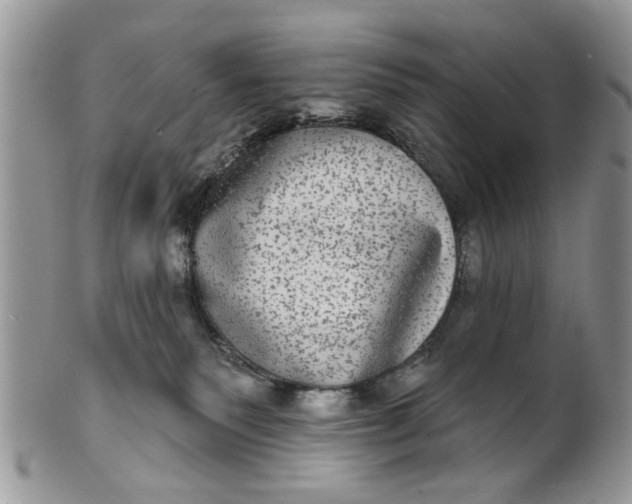 X0000101970135200808011139