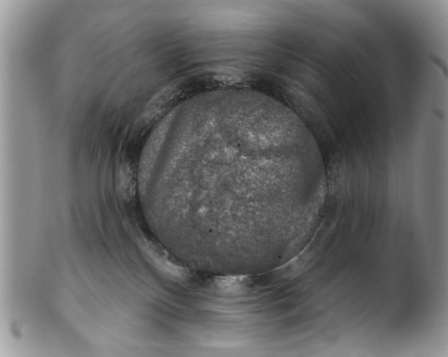 X0000101970136200808011139