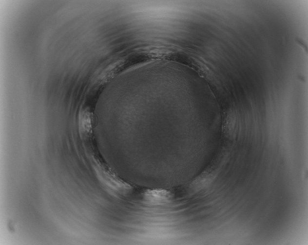 X0000101970137200808011139