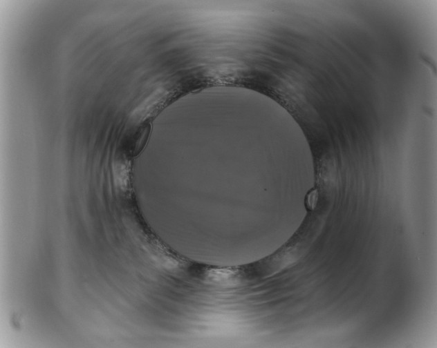 X0000101970139200808011139