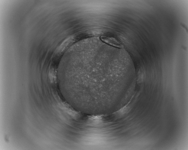 X0000101970140200808011139