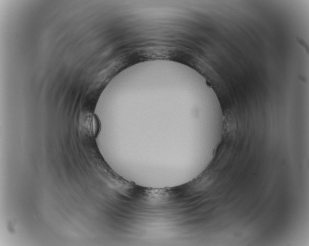 X0000101970141200808011139
