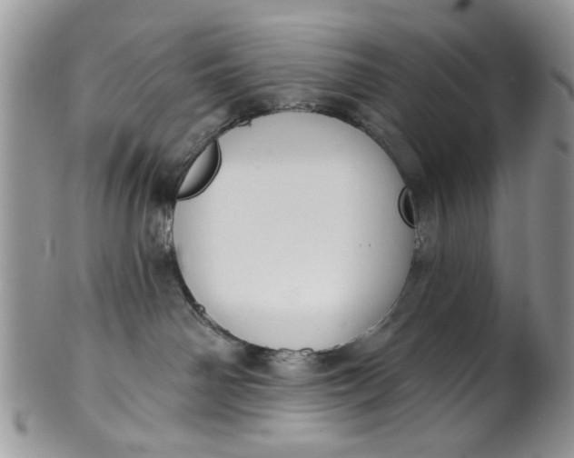 X0000101970142200808011139