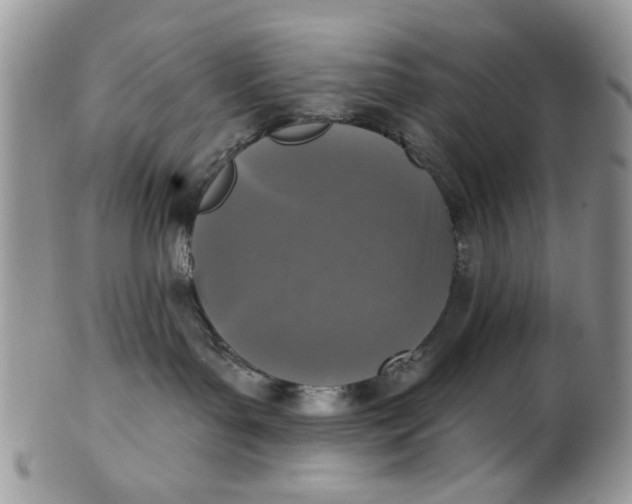 X0000101970143200808011139