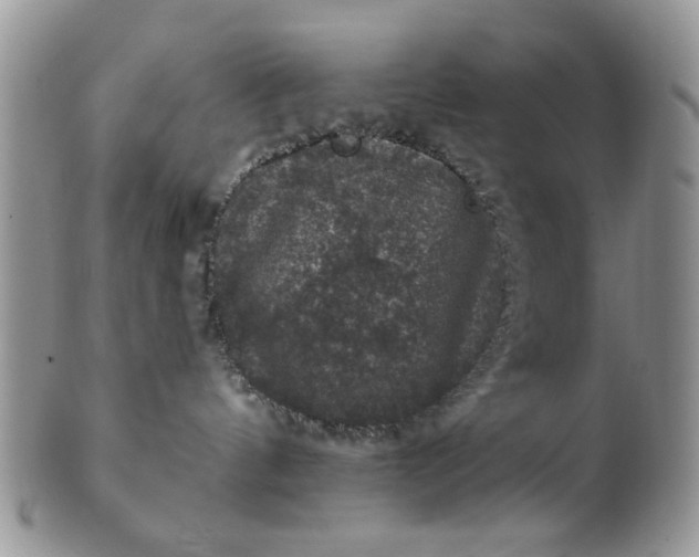 X0000101970144200808011139