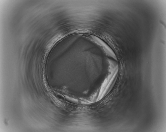 X0000101970145200808011138