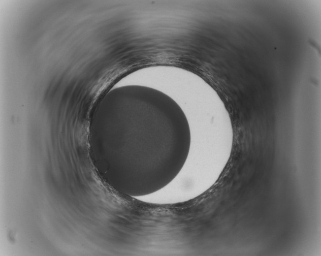 X0000101970146200808011138
