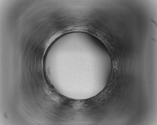 X0000101970148200808011138